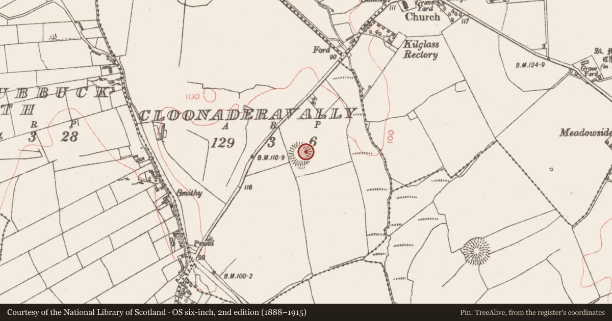 Ordnance Survey six-inch map, 2nd edition (1888–1915) covering the location of Ringfort - rath, Cloonaderavally, County Sligo, with a pin at the register's coordinates