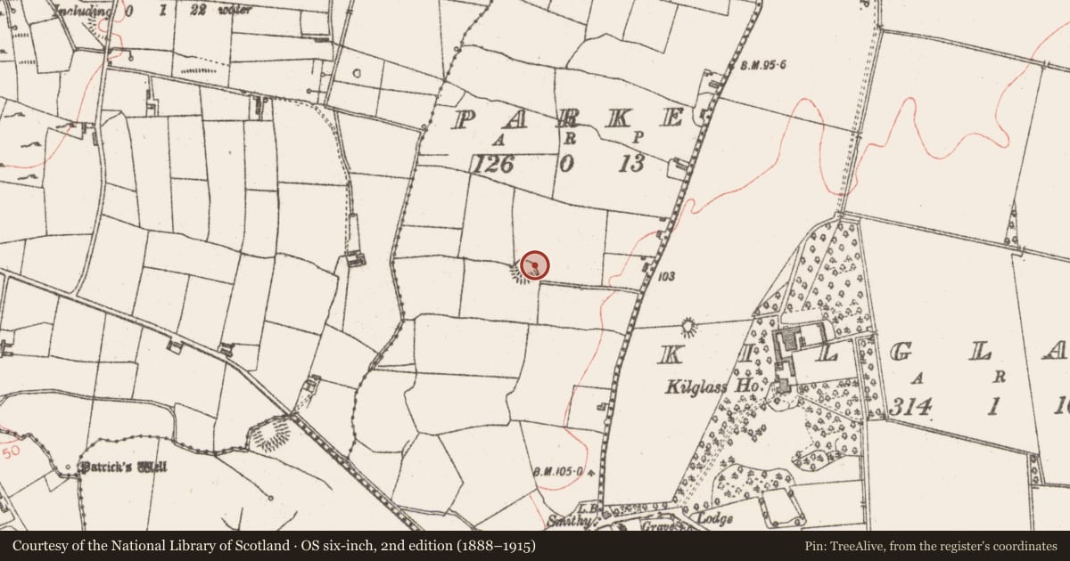 Ordnance Survey six-inch map, 2nd edition (1888–1915) covering the location of Ringfort - rath, Parke, County Sligo, with a pin at the register's coordinates