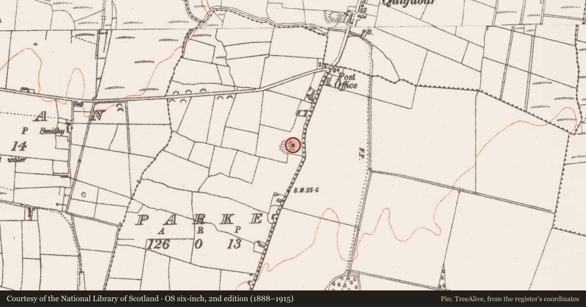 Ordnance Survey six-inch map, 2nd edition (1888–1915) covering the location of Ringfort - rath, Parke, County Sligo, with a pin at the register's coordinates