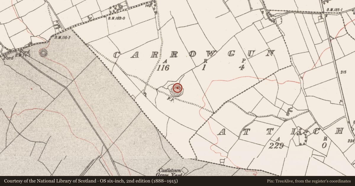 Ordnance Survey six-inch map, 2nd edition (1888–1915) covering the location of Ringfort - rath, Carrowgun, County Sligo, with a pin at the register's coordinates
