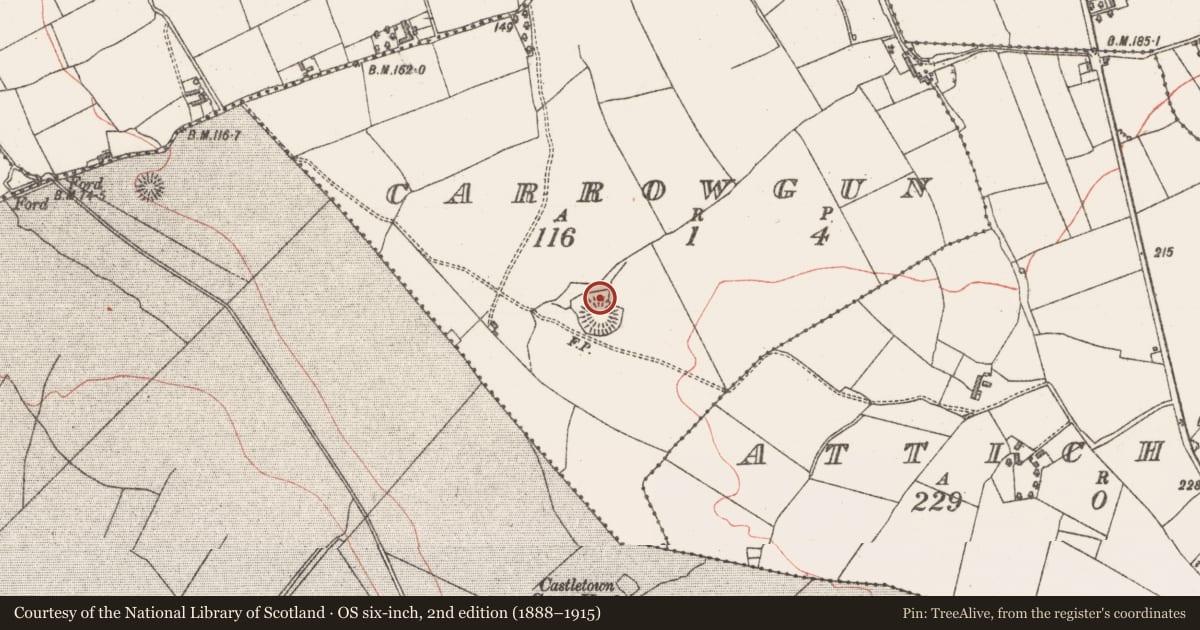 Ordnance Survey six-inch map, 2nd edition (1888–1915) covering the location of Souterrain, Carrowgun, County Sligo, with a pin at the register's coordinates