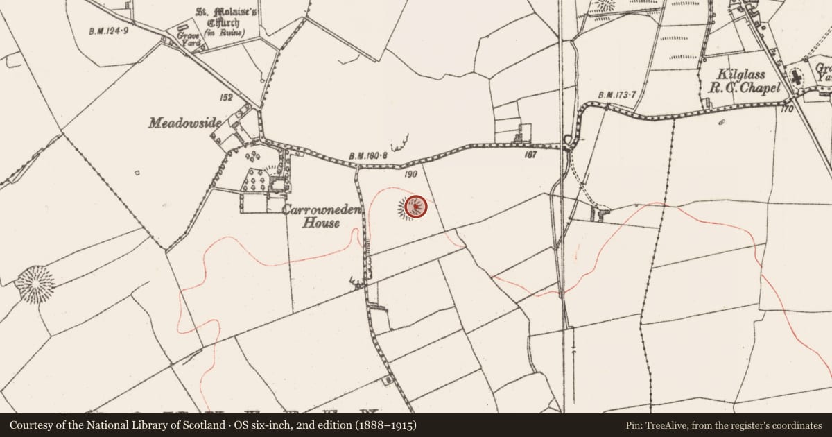 Ordnance Survey six-inch map, 2nd edition (1888–1915) covering the location of Ringfort - rath, Ballinteane, County Sligo, with a pin at the register's coordinates