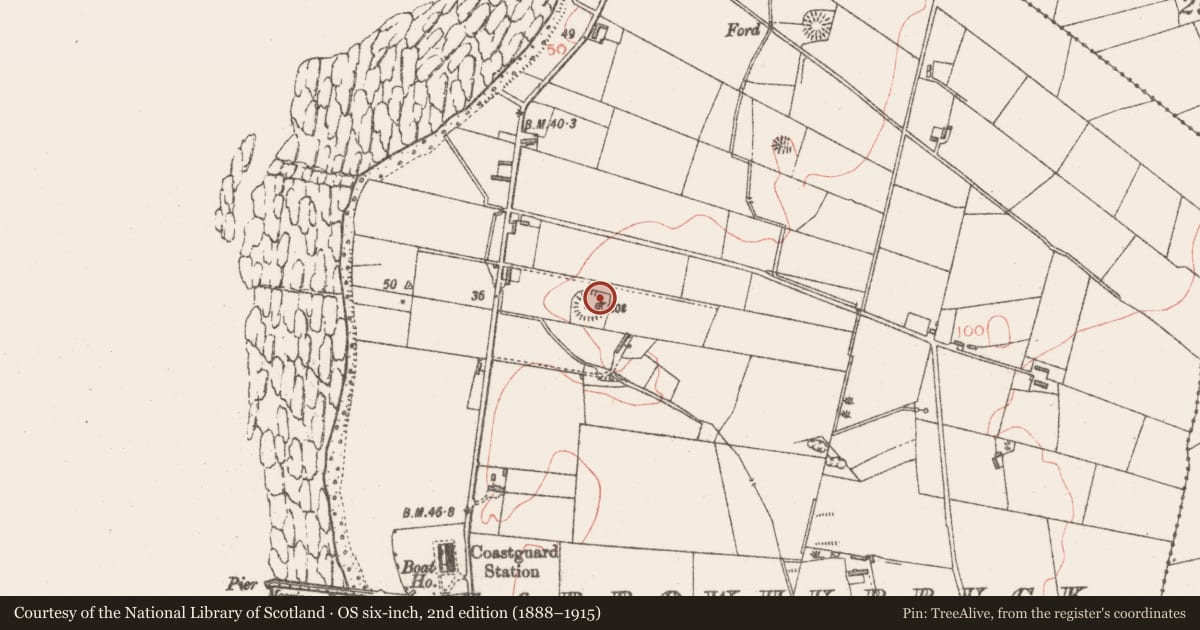 Ordnance Survey six-inch map, 2nd edition (1888–1915) covering the location of Ringfort - rath, Carrowhubbuck South, County Sligo, with a pin at the register's coordinates