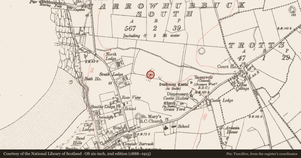 Ordnance Survey six-inch map, 2nd edition (1888–1915) covering the location of Megalithic tomb - passage tomb, Carrowhubbuck South, County Sligo, with a pin at the register's coordinates