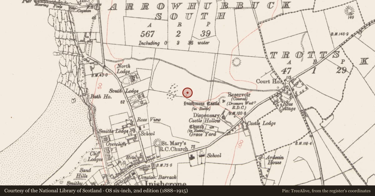 Ordnance Survey six-inch map, 2nd edition (1888–1915) covering the location of Megalithic tomb - passage tomb, Carrowhubbuck South, County Sligo, with a pin at the register's coordinates
