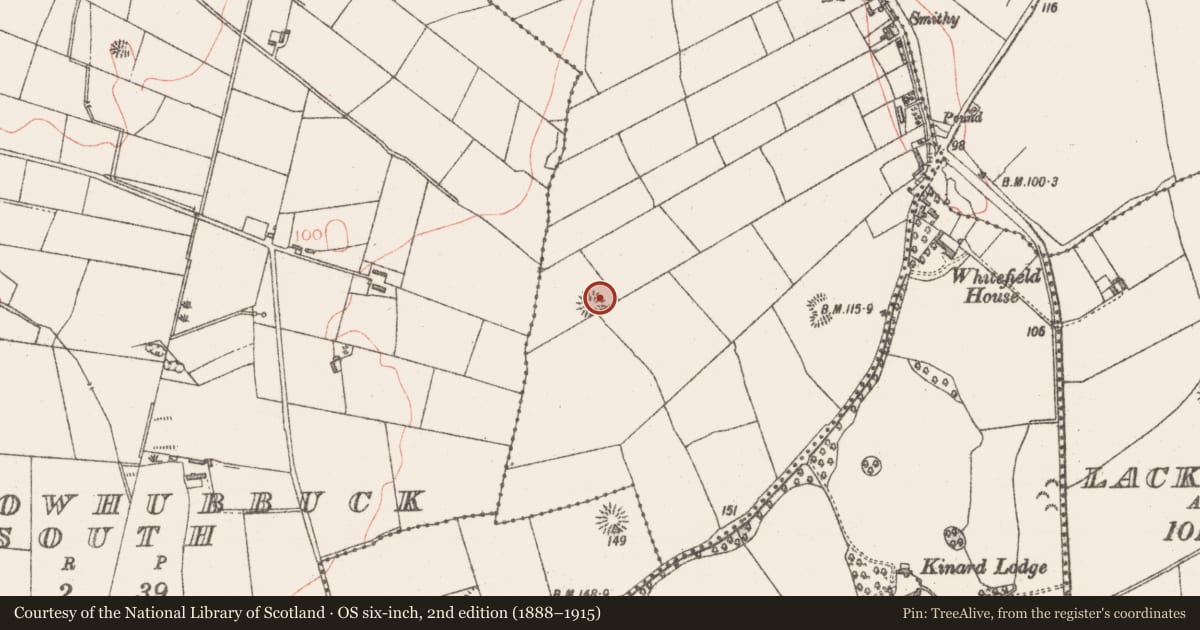 Ordnance Survey six-inch map, 2nd edition (1888–1915) covering the location of Ringfort - rath, Carrowhubbuck North, County Sligo, with a pin at the register's coordinates