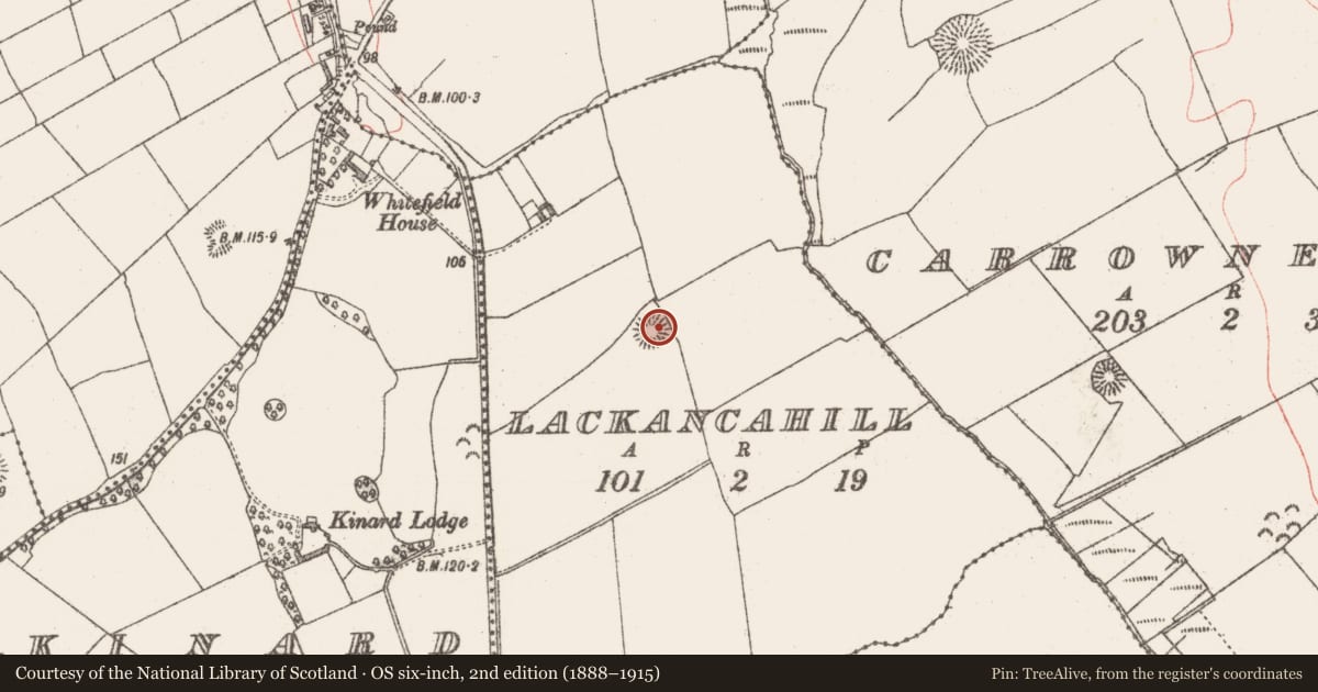 Ordnance Survey six-inch map, 2nd edition (1888–1915) covering the location of Ringfort - rath, Lackancahill, County Sligo, with a pin at the register's coordinates
