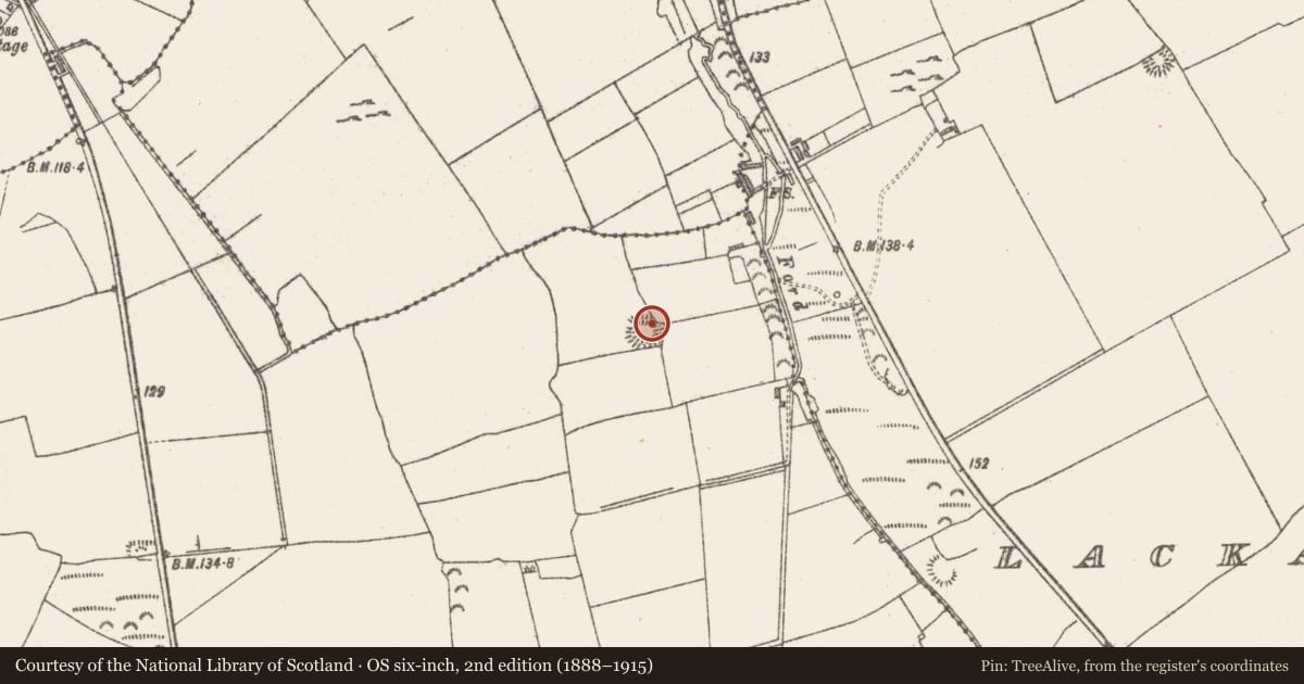 Ordnance Survey six-inch map, 2nd edition (1888–1915) covering the location of Ringfort - rath, Frankford, County Sligo, with a pin at the register's coordinates