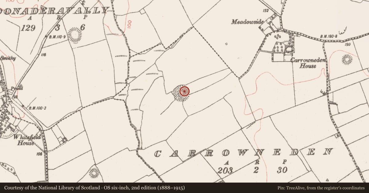 Ordnance Survey six-inch map, 2nd edition (1888–1915) covering the location of Ringfort - rath, Carrowneden, County Sligo, with a pin at the register's coordinates