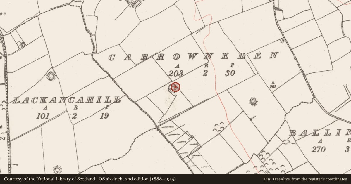 Ordnance Survey six-inch map, 2nd edition (1888–1915) covering the location of Ringfort - rath, Carrowneden, County Sligo, with a pin at the register's coordinates