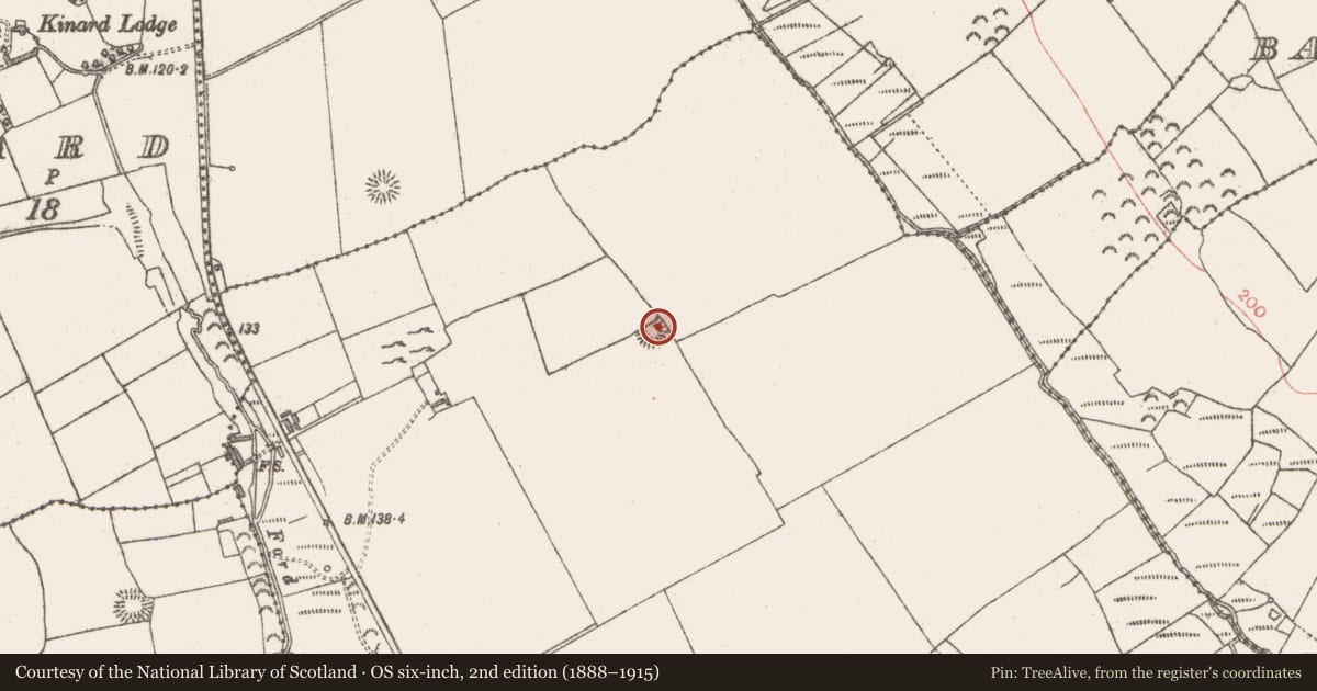 Ordnance Survey six-inch map, 2nd edition (1888–1915) covering the location of Ringfort - rath, Lackanatlieve, County Sligo, with a pin at the register's coordinates