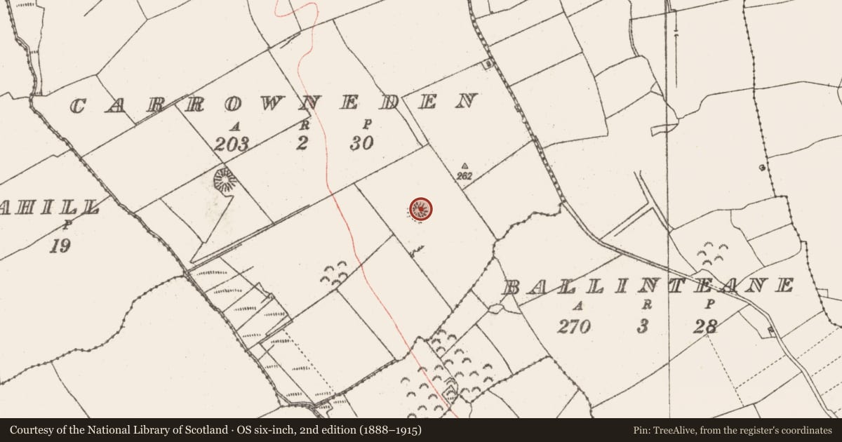 Ordnance Survey six-inch map, 2nd edition (1888–1915) covering the location of Ringfort - rath, Carrowneden, County Sligo, with a pin at the register's coordinates