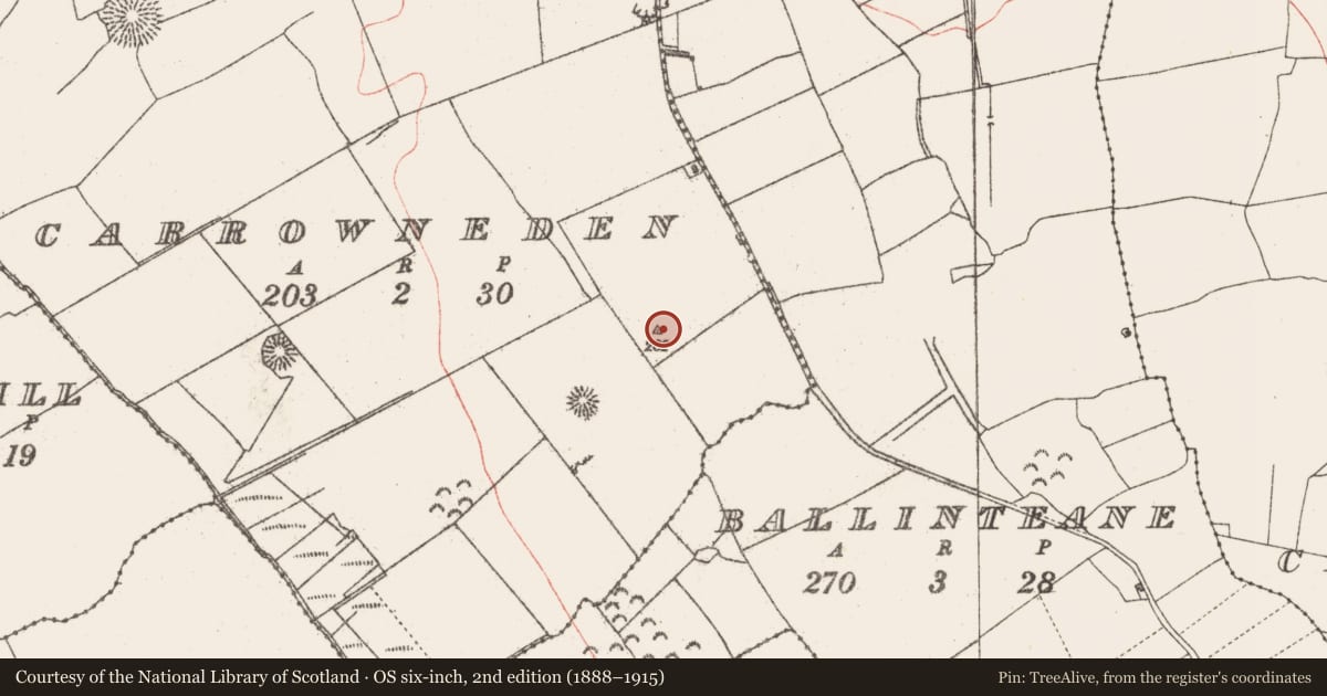 Ordnance Survey six-inch map, 2nd edition (1888–1915) covering the location of Earthwork, Carrowneden, County Sligo, with a pin at the register's coordinates
