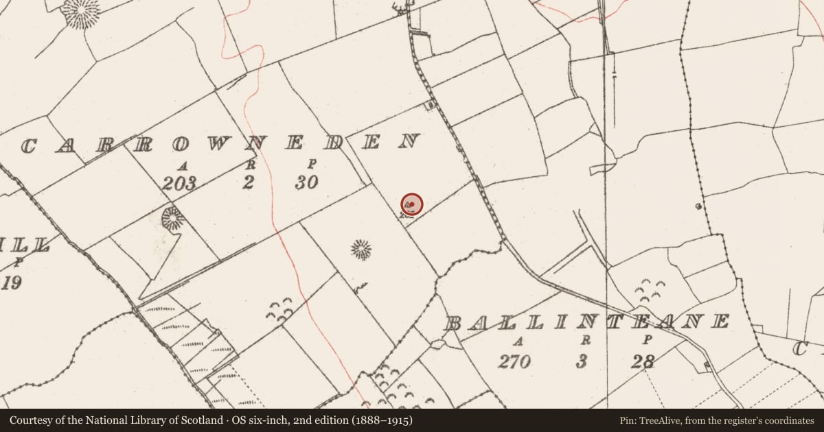 Ordnance Survey six-inch map, 2nd edition (1888–1915) covering the location of Enclosure, Carrowneden, County Sligo, with a pin at the register's coordinates