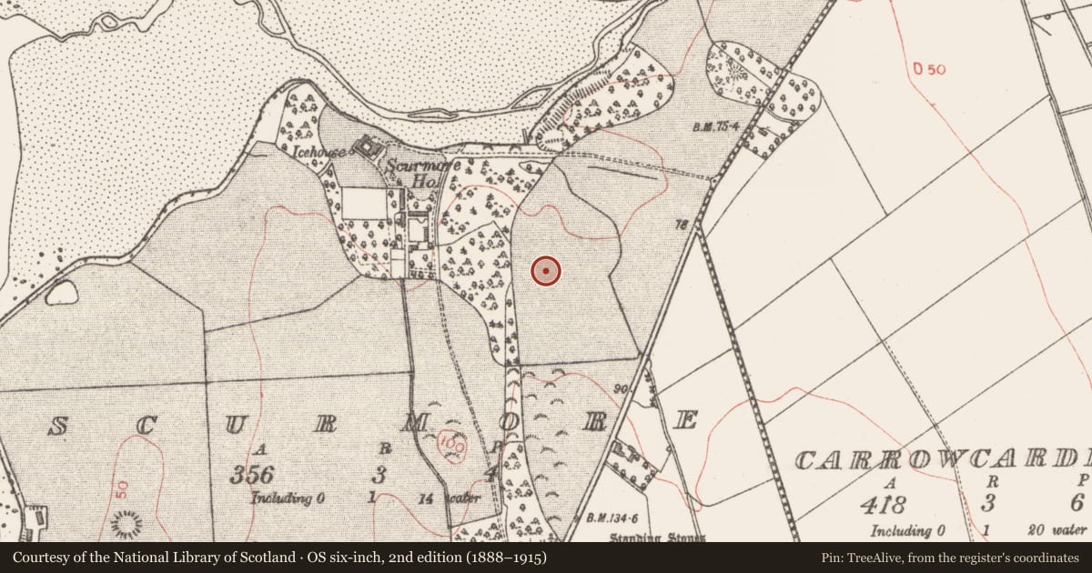 Ordnance Survey six-inch map, 2nd edition (1888–1915) covering the location of Enclosure, Scurmore, County Sligo, with a pin at the register's coordinates