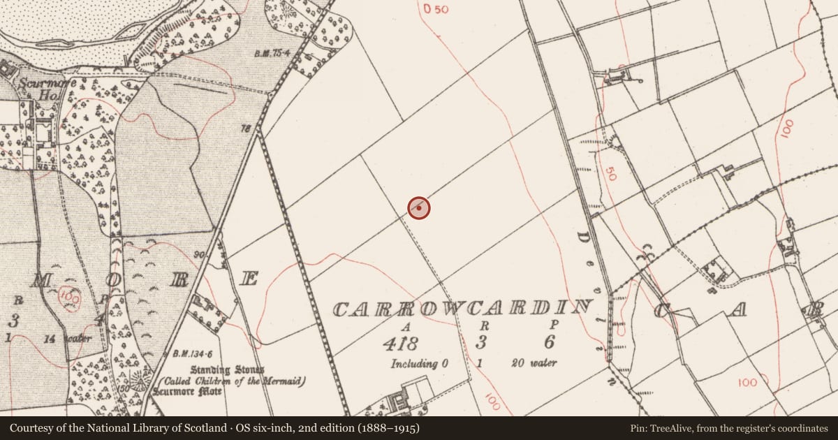 Ordnance Survey six-inch map, 2nd edition (1888–1915) covering the location of Moated site, Carrowcardin, County Sligo, with a pin at the register's coordinates