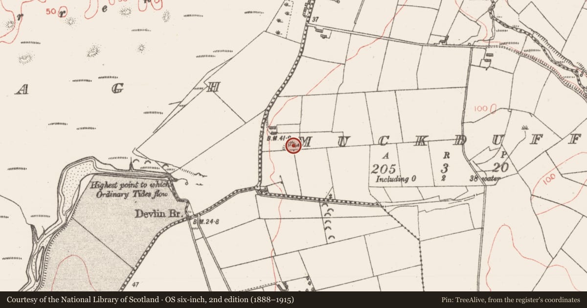 Ordnance Survey six-inch map, 2nd edition (1888–1915) covering the location of Enclosure, Muckduff, County Sligo, with a pin at the register's coordinates