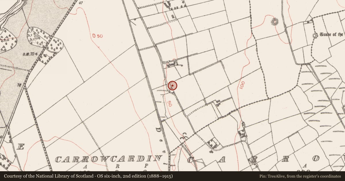 Ordnance Survey six-inch map, 2nd edition (1888–1915) covering the location of Ringfort - rath, Carrowcardin, County Sligo, with a pin at the register's coordinates