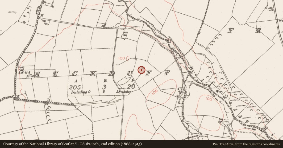 Ordnance Survey six-inch map, 2nd edition (1888–1915) covering the location of Ringfort - rath, Muckduff, County Sligo, with a pin at the register's coordinates