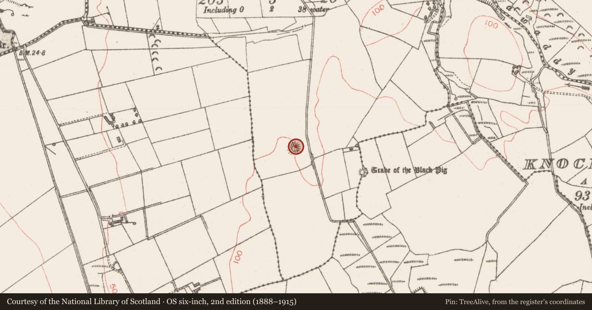 Ordnance Survey six-inch map, 2nd edition (1888–1915) covering the location of Enclosure, Muckduff, County Sligo, with a pin at the register's coordinates