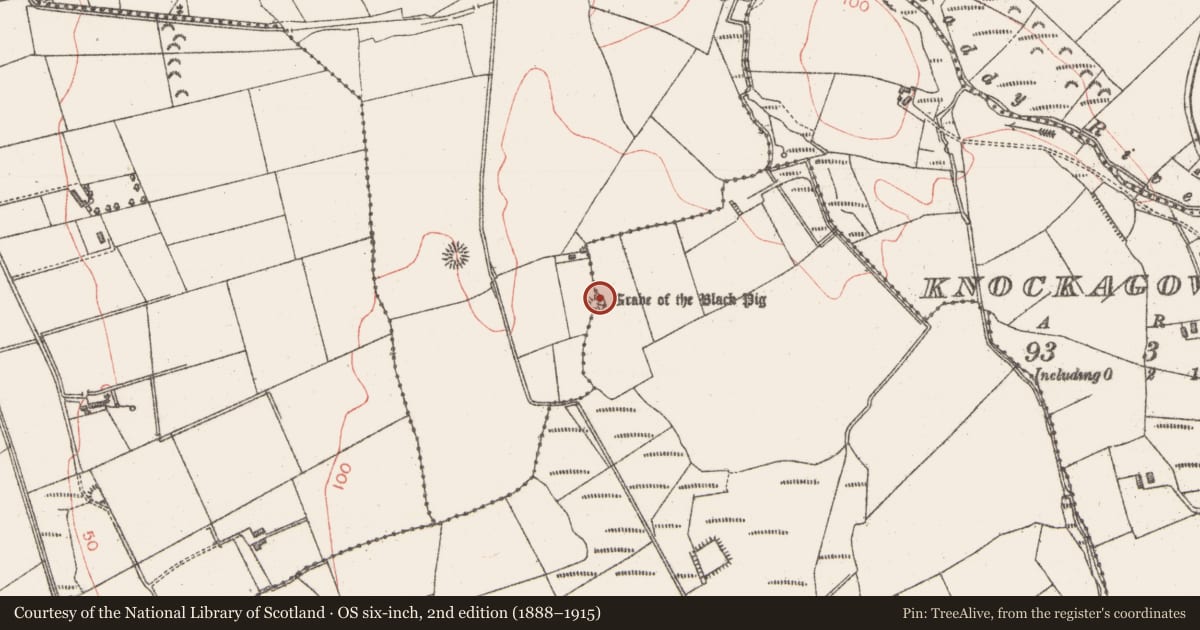 Ordnance Survey six-inch map, 2nd edition (1888–1915) covering the location of Cairn - unclassified, Muckduff, County Sligo, with a pin at the register's coordinates