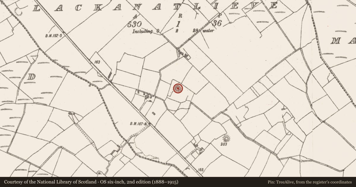 Ordnance Survey six-inch map, 2nd edition (1888–1915) covering the location of Ringfort - rath, Lackanatlieve, County Sligo, with a pin at the register's coordinates