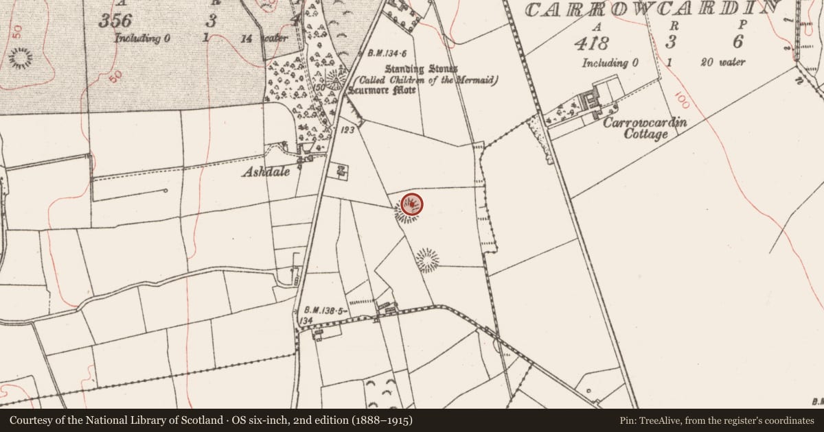 Ordnance Survey six-inch map, 2nd edition (1888–1915) covering the location of Ringfort - rath, Scurmore, County Sligo, with a pin at the register's coordinates