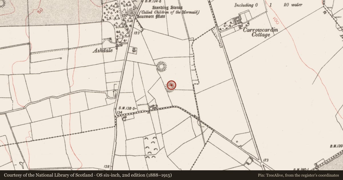 Ordnance Survey six-inch map, 2nd edition (1888–1915) covering the location of Ringfort - rath, Scurmore, County Sligo, with a pin at the register's coordinates