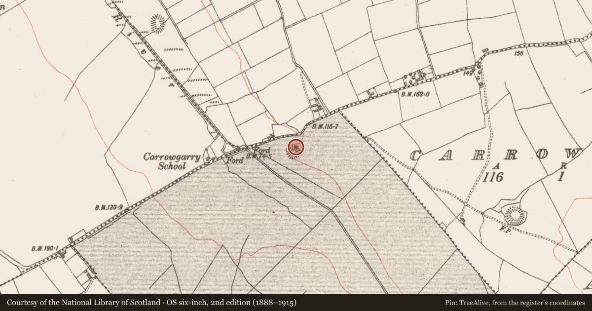 Ordnance Survey six-inch map, 2nd edition (1888–1915) covering the location of Ringfort - rath, Cottlestown, County Sligo, with a pin at the register's coordinates