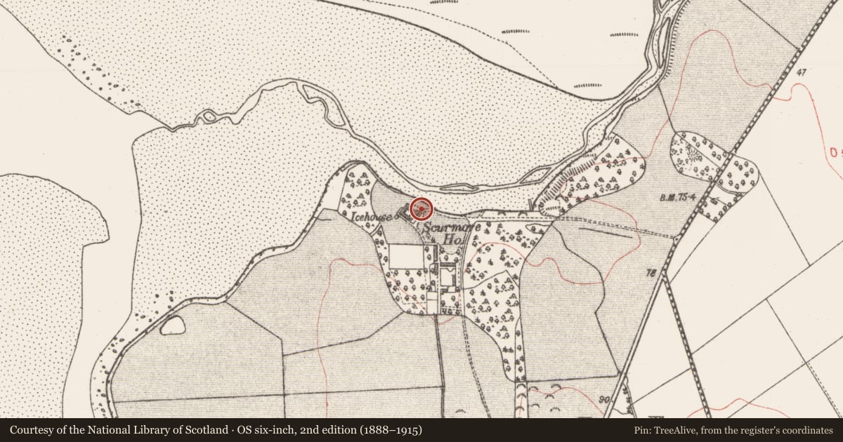 Ordnance Survey six-inch map, 2nd edition (1888–1915) covering the location of Architectural fragment, Scurmore, County Sligo, with a pin at the register's coordinates