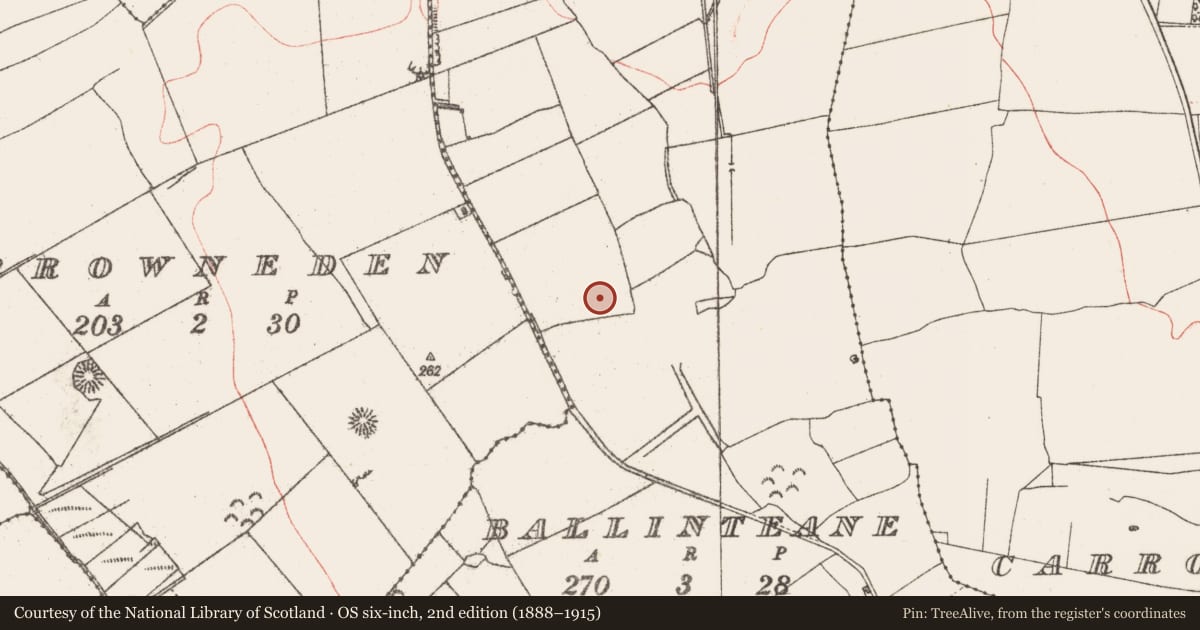 Ordnance Survey six-inch map, 2nd edition (1888–1915) covering the location of Enclosure, Ballinteane, County Sligo, with a pin at the register's coordinates