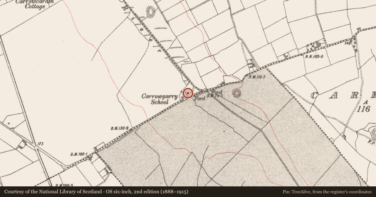 Ordnance Survey six-inch map, 2nd edition (1888–1915) covering the location of Cross, Carrowcardin, County Sligo, with a pin at the register's coordinates