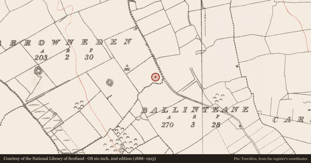 Ordnance Survey six-inch map, 2nd edition (1888–1915) covering the location of Standing stone, Carrowneden, County Sligo, with a pin at the register's coordinates