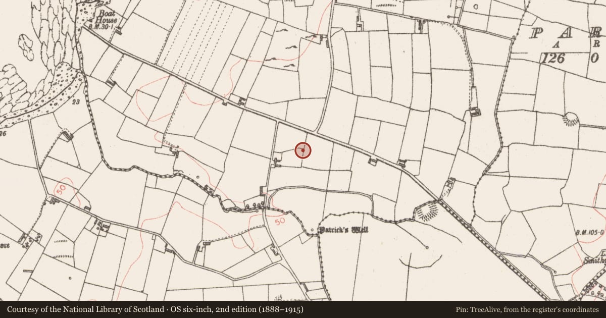 Ordnance Survey six-inch map, 2nd edition (1888–1915) covering the location of Enclosure, Lackan, County Sligo, with a pin at the register's coordinates