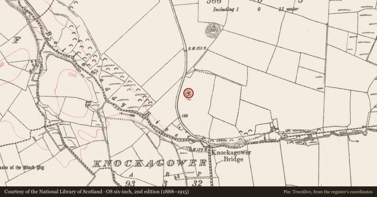 Ordnance Survey six-inch map, 2nd edition (1888–1915) covering the location of Souterrain, Frankford, County Sligo, with a pin at the register's coordinates