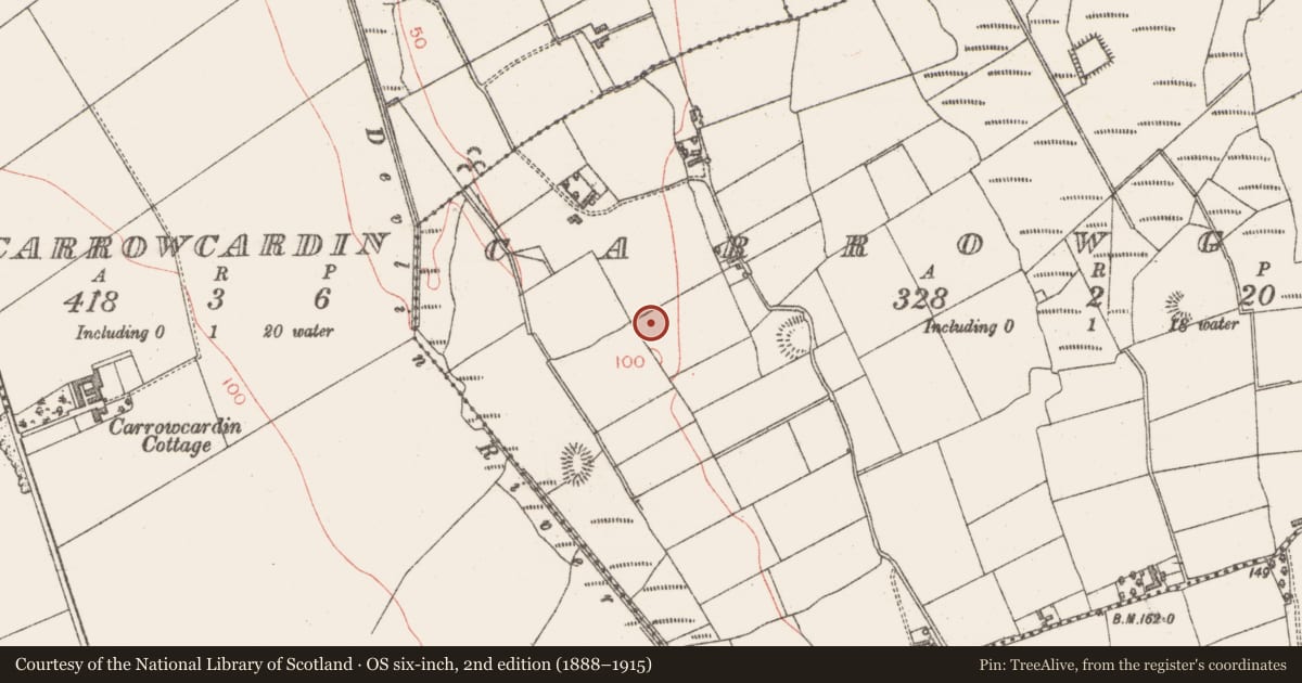 Ordnance Survey six-inch map, 2nd edition (1888–1915) covering the location of Slab-lined burial, Carrowgarry, County Sligo, with a pin at the register's coordinates
