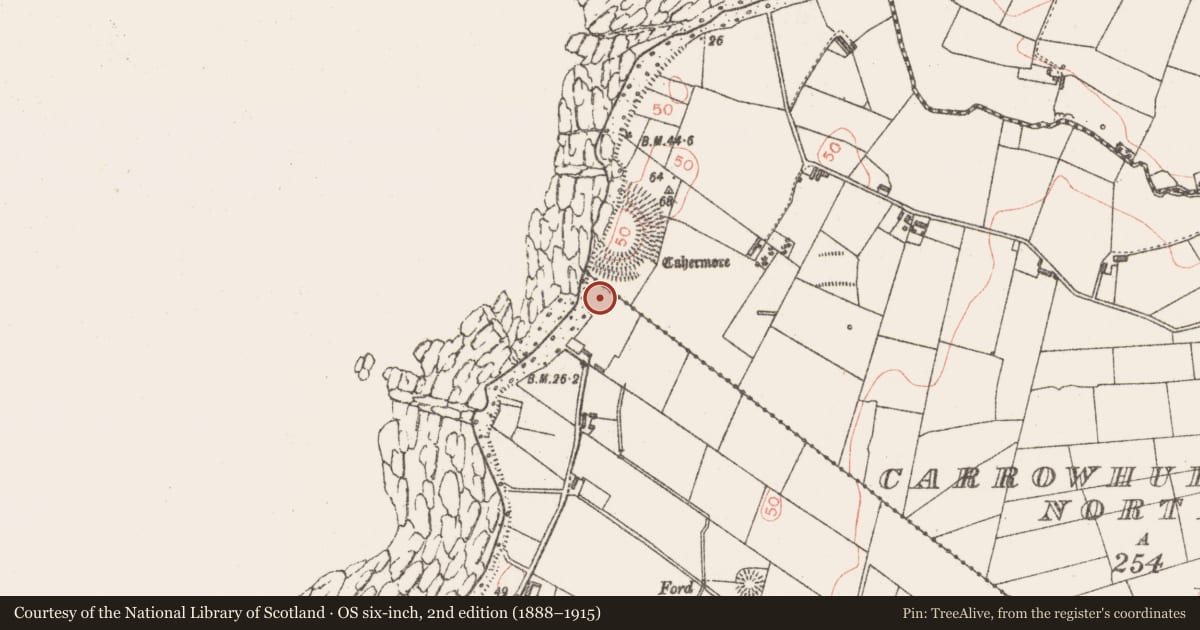 Ordnance Survey six-inch map, 2nd edition (1888–1915) covering the location of Burial, Carrowhubbuck South, County Sligo, with a pin at the register's coordinates