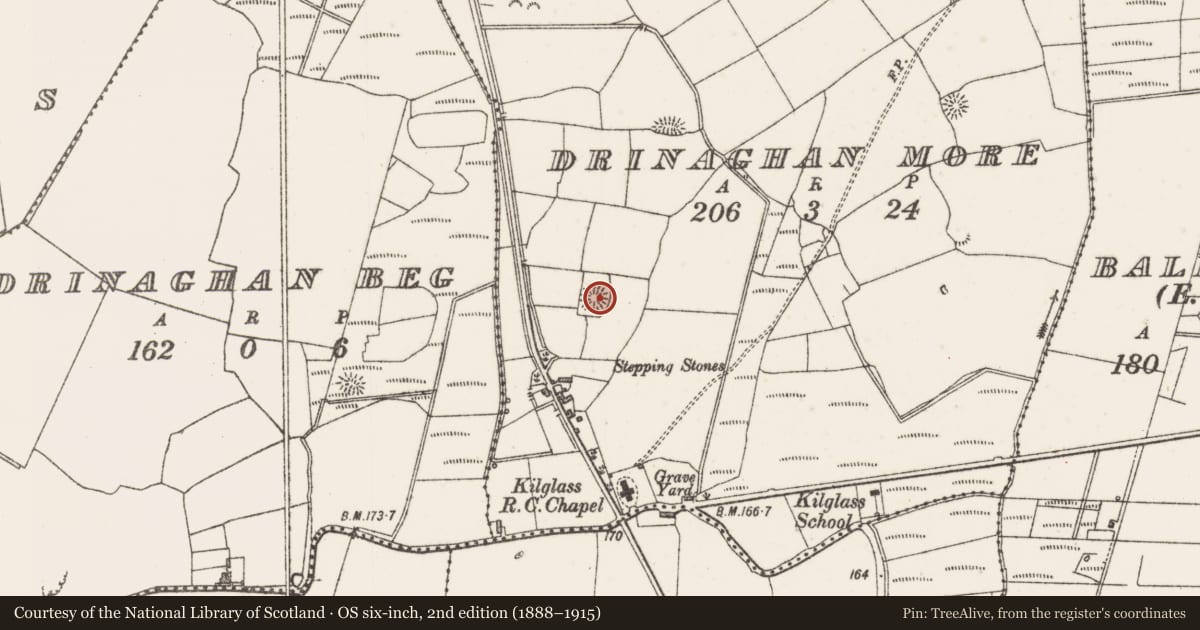 Ordnance Survey six-inch map, 2nd edition (1888–1915) covering the location of Ringfort - rath, Drinaghan More, County Sligo, with a pin at the register's coordinates