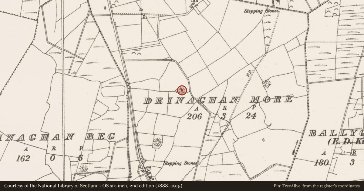 Ordnance Survey six-inch map, 2nd edition (1888–1915) covering the location of Enclosure, Drinaghan More, County Sligo, with a pin at the register's coordinates