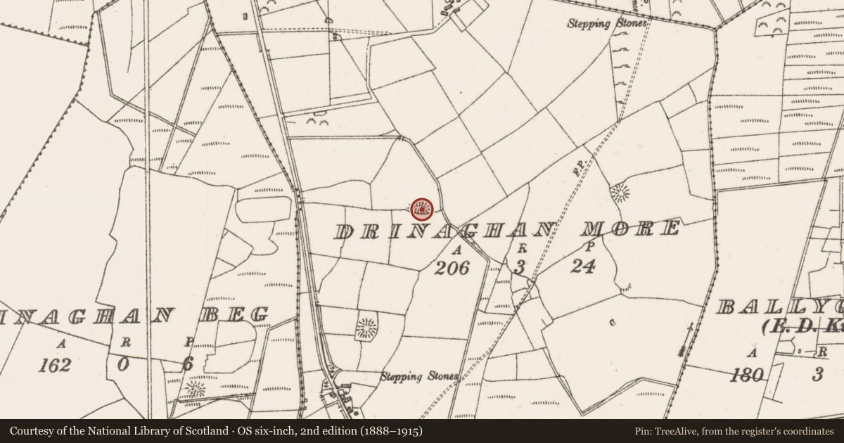 Ordnance Survey six-inch map, 2nd edition (1888–1915) covering the location of Hut site, Drinaghan More, County Sligo, with a pin at the register's coordinates