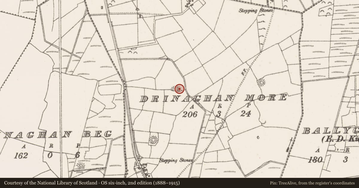 Ordnance Survey six-inch map, 2nd edition (1888–1915) covering the location of Enclosure, Drinaghan More, County Sligo, with a pin at the register's coordinates