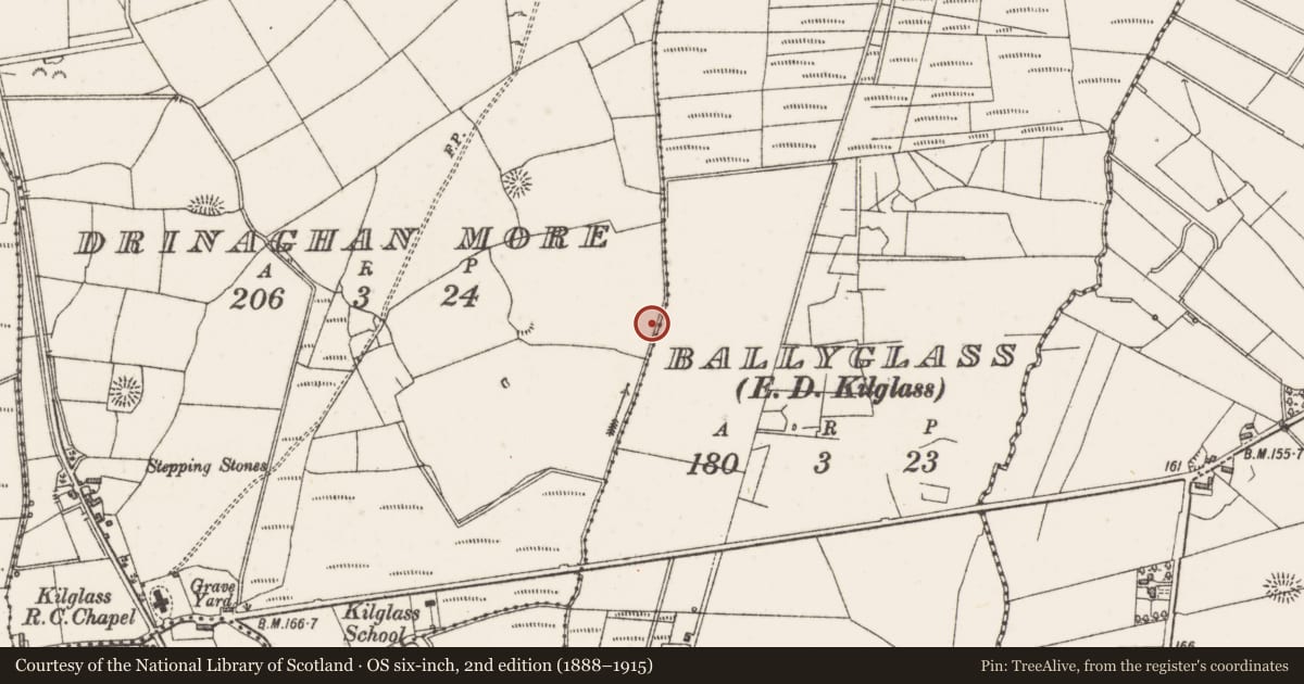 Ordnance Survey six-inch map, 2nd edition (1888–1915) covering the location of Earthwork, Drinaghan More, County Sligo, with a pin at the register's coordinates