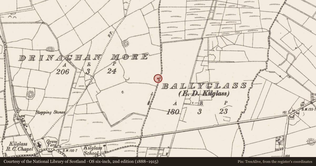 Ordnance Survey six-inch map, 2nd edition (1888–1915) covering the location of Hut site, Drinaghan More, County Sligo, with a pin at the register's coordinates