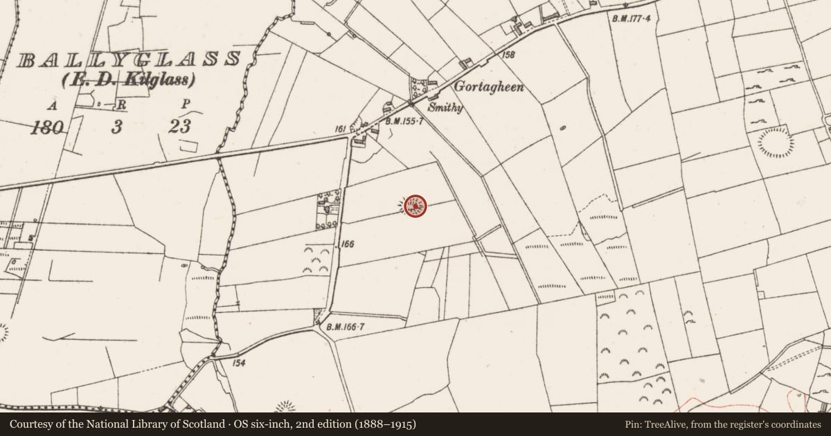 Ordnance Survey six-inch map, 2nd edition (1888–1915) covering the location of Ringfort - rath, Culleens, County Sligo, with a pin at the register's coordinates