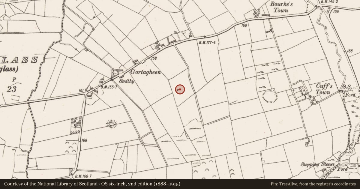 Ordnance Survey six-inch map, 2nd edition (1888–1915) covering the location of Megalithic structure, Culleens, County Sligo, with a pin at the register's coordinates