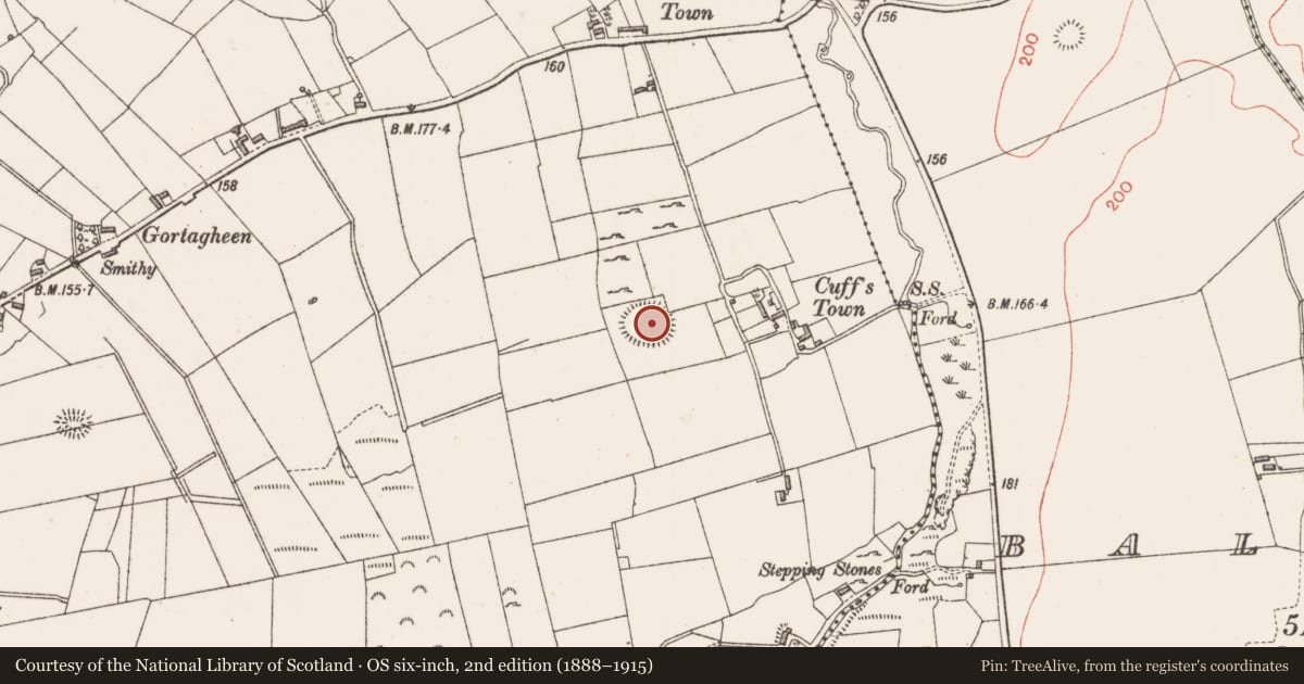 Ordnance Survey six-inch map, 2nd edition (1888–1915) covering the location of Ringfort - rath, Culleens, County Sligo, with a pin at the register's coordinates