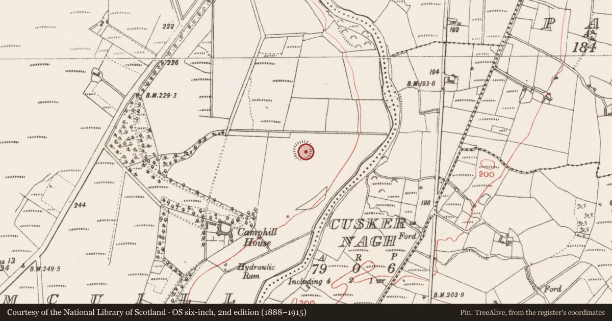 Ordnance Survey six-inch map, 2nd edition (1888–1915) covering the location of Ringfort - rath, Camcuill, County Sligo, with a pin at the register's coordinates
