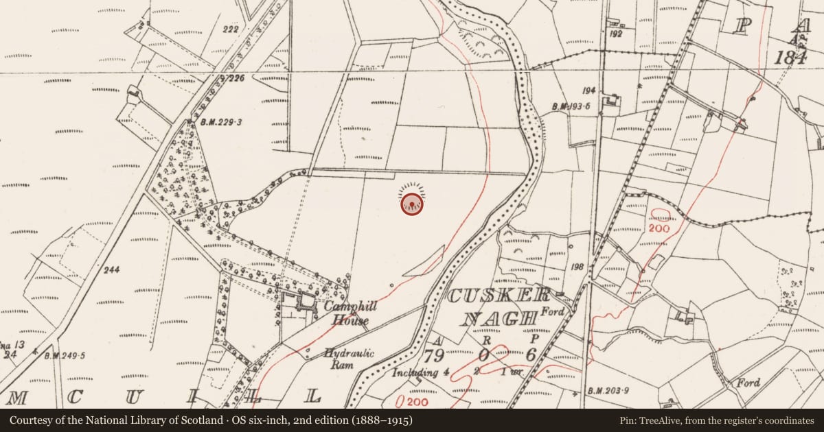 Ordnance Survey six-inch map, 2nd edition (1888–1915) covering the location of Building, Camcuill, County Sligo, with a pin at the register's coordinates