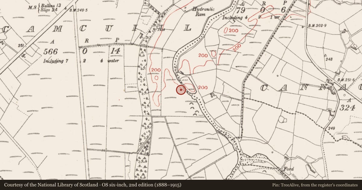 Ordnance Survey six-inch map, 2nd edition (1888–1915) covering the location of Ringfort - rath, Camcuill, County Sligo, with a pin at the register's coordinates