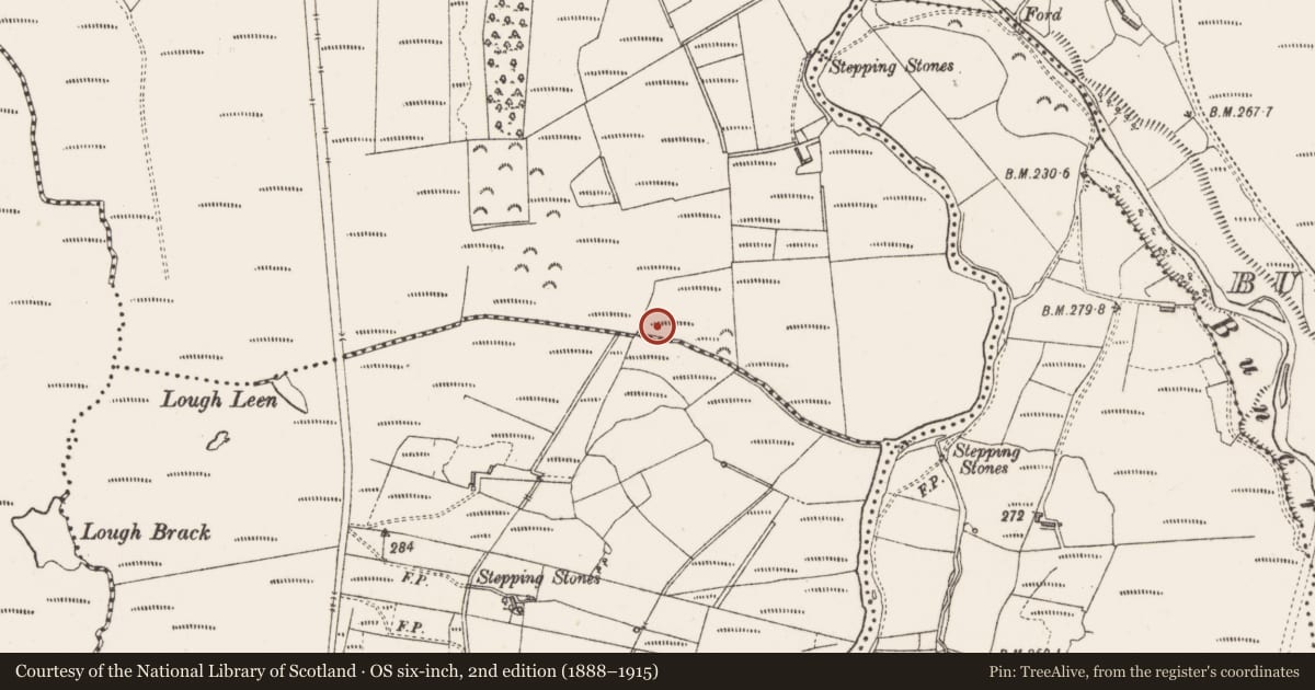 Ordnance Survey six-inch map, 2nd edition (1888–1915) covering the location of Megalithic tomb - portal tomb, Camcuill, County Sligo, with a pin at the register's coordinates